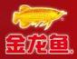 金龍魚