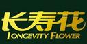 長壽花