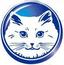 白貓whitecat