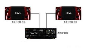 HiVi惠威家庭專業(yè)卡拉OK音響HK100一對(duì)
