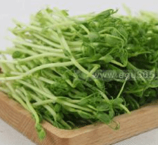 依谷生態基地直供鮮割蝴蝶苗250g
