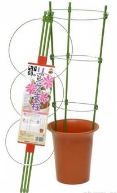 [DAIM]植物固定爬藤架子铁环花支架园艺支架铁线莲专用花架