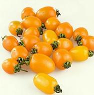 湖西島牌有機黃圣女果500g