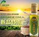 馨特亞麻籽油冷榨初榨脫蠟食用油月子胡麻油100ml亞麻酸