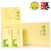 曉陽春正宗嶗山茶葉綠茶
