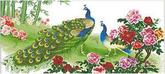 法國(guó)DMC十字繡正品套件專賣(mài)客廳-精準(zhǔn)印花錦繡春光-孔雀