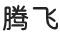 騰飛仿真花